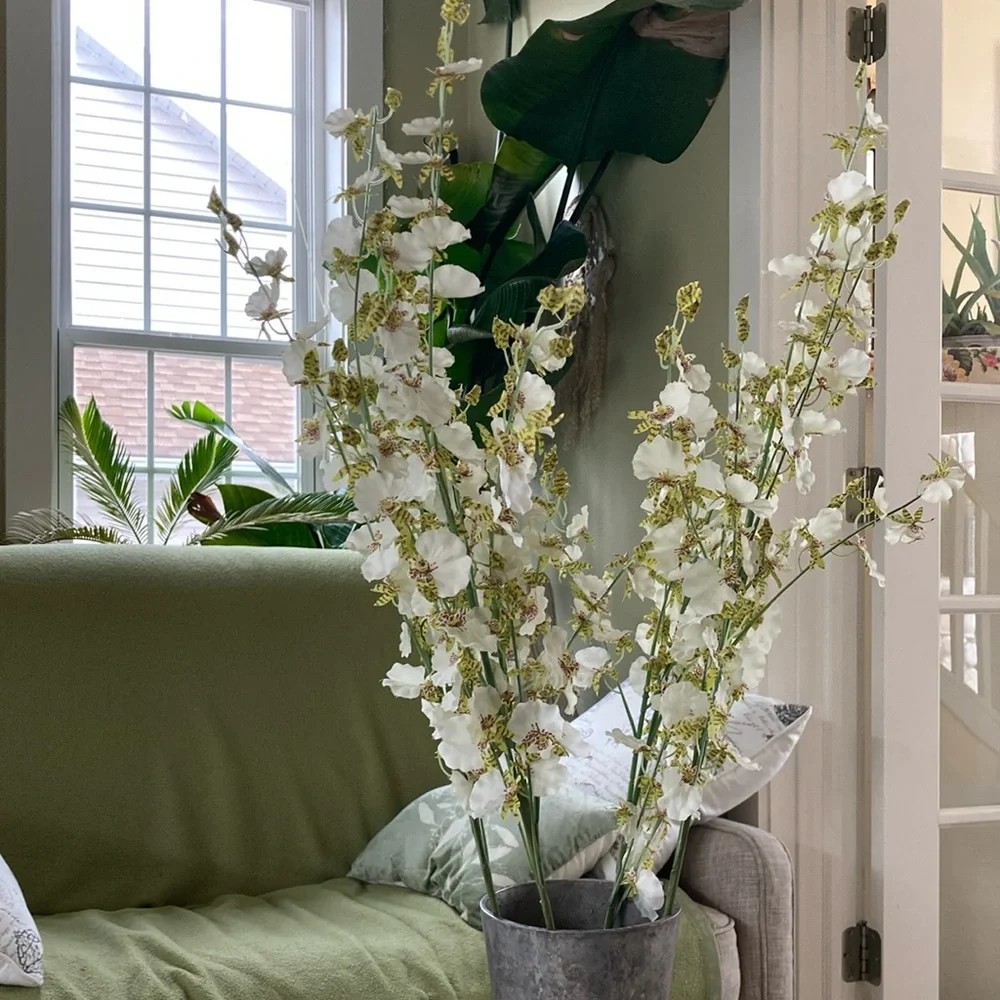 West Elm Orchid stems